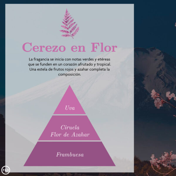 Ambar Zen Spray Hogar Cerezo en Flor 225 ml - Imagen 2