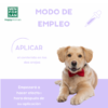 Men for san Pipetas calmantes para perros con aceite esencial de valeriana - Imagen 3