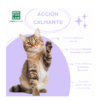 Men for san Pipetas calmantes para gatos - Imagen 3