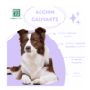 Men for san Spray calmante para perro 60 ml - Imagen 3