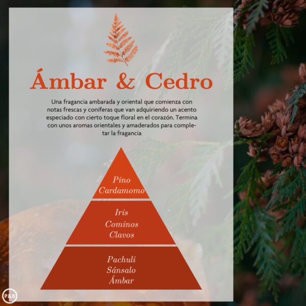 Ambar Zen Esencia Humidificador Ámbar y Cedro 50 ml - Imagen 3