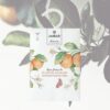 Ambar Perfums Ambientador Armario Flor de Azahar 1u. - Imagen 3