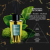 Ambar Perfums Ambientador Mikado Bergamota 85ml - Imagen 4