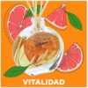 The Fruit Company Ambientador Mikado de Pomelo Rosa - Imagen 4